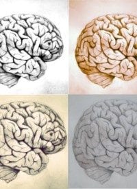 brain logo